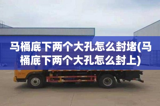 马桶底下两个大孔怎么封堵(马桶底下两个大孔怎么封上)