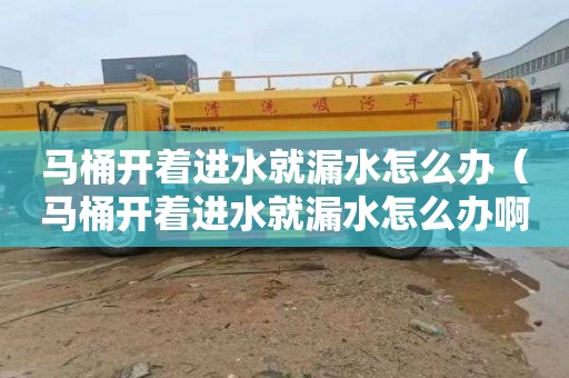 马桶开着进水就漏水怎么办（马桶开着进水就漏水怎么办啊）