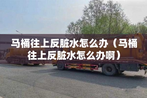 马桶往上反脏水怎么办（马桶往上反脏水怎么办啊）