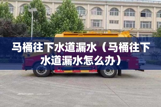 马桶往下水道漏水（马桶往下水道漏水怎么办）