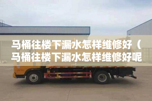 马桶往楼下漏水怎样维修好（马桶往楼下漏水怎样维修好呢）