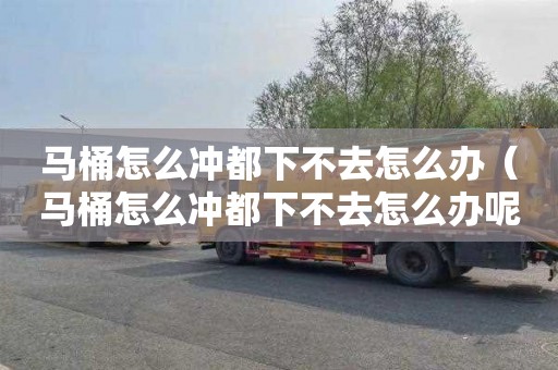 马桶怎么冲都下不去怎么办（马桶怎么冲都下不去怎么办呢）