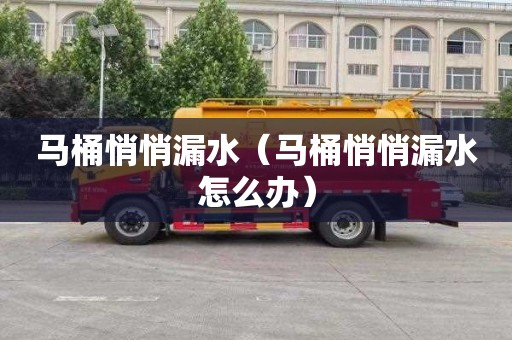 马桶悄悄漏水（马桶悄悄漏水怎么办）