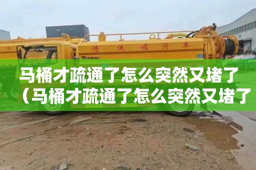 马桶才疏通了怎么突然又堵了（马桶才疏通了怎么突然又堵了呢）