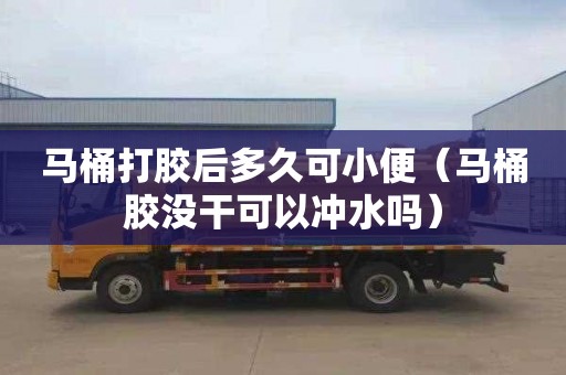马桶打胶后多久可小便（马桶胶没干可以冲水吗）