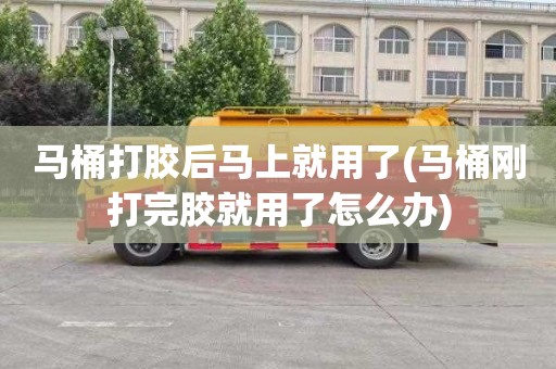 马桶打胶后马上就用了(马桶刚打完胶就用了怎么办)