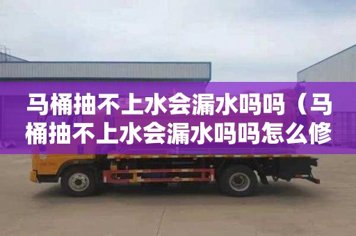 马桶抽不上水会漏水吗吗（马桶抽不上水会漏水吗吗怎么修）