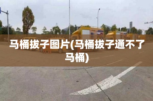 马桶拔子图片(马桶拔子通不了马桶)