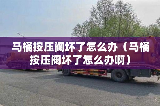 马桶按压阀坏了怎么办（马桶按压阀坏了怎么办啊）