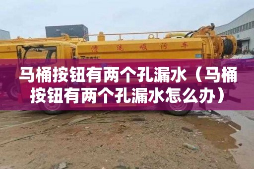 马桶按钮有两个孔漏水（马桶按钮有两个孔漏水怎么办）