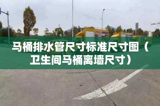 马桶排水管尺寸标准尺寸图（卫生间马桶离墙尺寸）
