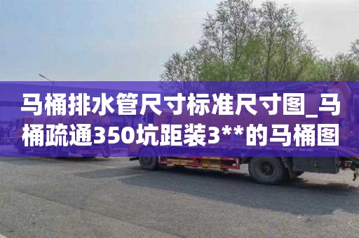马桶排水管尺寸标准尺寸图_马桶疏通350坑距装3**的马桶图