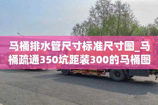 马桶排水管尺寸标准尺寸图_马桶疏通350坑距装300的马桶图