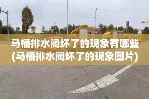 马桶排水阀坏了的现象有哪些(马桶排水阀坏了的现象图片)