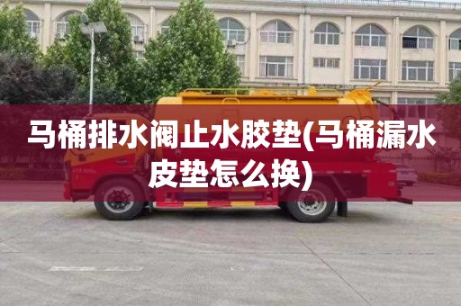 马桶排水阀止水胶垫(马桶漏水皮垫怎么换)