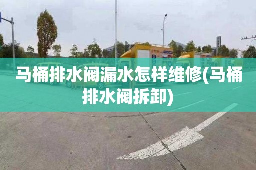 马桶排水阀漏水怎样维修(马桶排水阀拆卸)