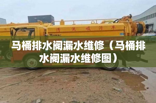 马桶排水阀漏水维修（马桶排水阀漏水维修图）