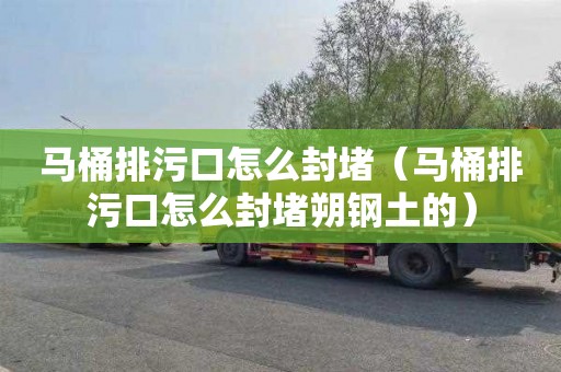 马桶排污口怎么封堵（马桶排污口怎么封堵朔钢土的）
