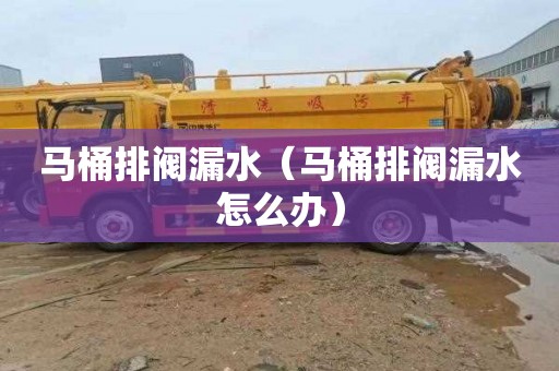 马桶排阀漏水（马桶排阀漏水怎么办）