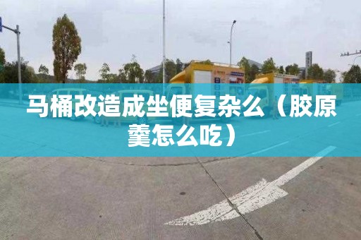 马桶改造成坐便复杂么（胶原羹怎么吃）