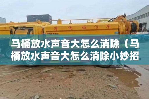 马桶放水声音大怎么消除（马桶放水声音大怎么消除小妙招）