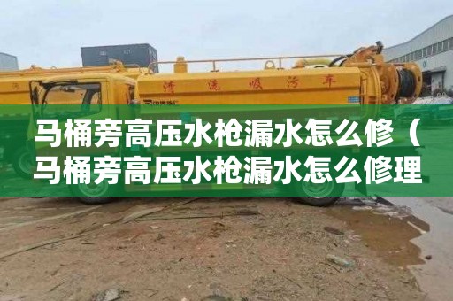 马桶旁高压水枪漏水怎么修（马桶旁高压水枪漏水怎么修理）