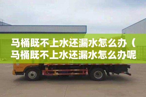 马桶既不上水还漏水怎么办（马桶既不上水还漏水怎么办呢）