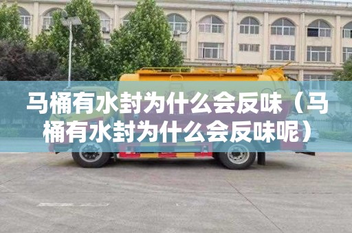 马桶有水封为什么会反味（马桶有水封为什么会反味呢）