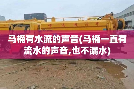 马桶有水流的声音(马桶一直有流水的声音,也不漏水)