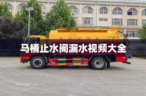 马桶止水阀漏水视频大全