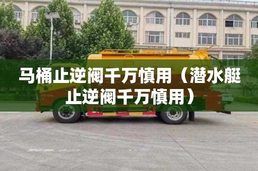 马桶止逆阀千万慎用（潜水艇止逆阀千万慎用）
