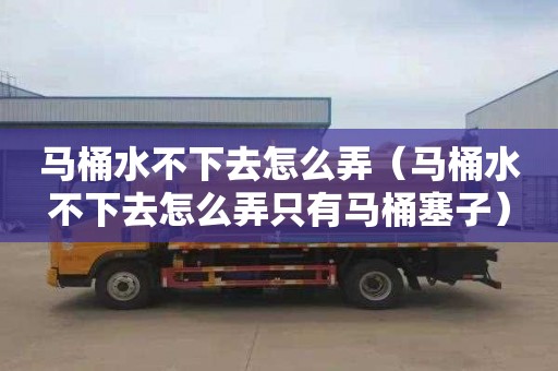马桶水不下去怎么弄（马桶水不下去怎么弄只有马桶塞子）