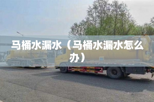 马桶水漏水（马桶水漏水怎么办）