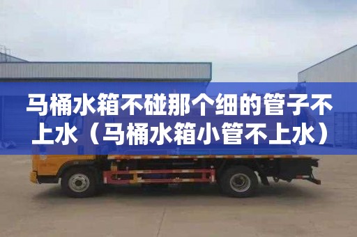 马桶水箱不碰那个细的管子不上水（马桶水箱小管不上水）
