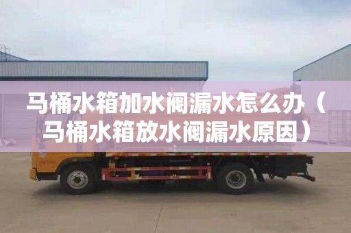 马桶水箱加水阀漏水怎么办（马桶水箱放水阀漏水原因）