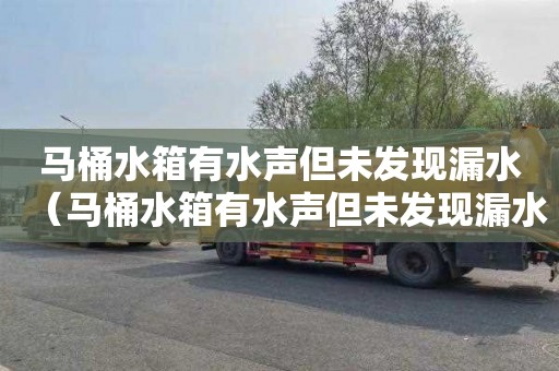 马桶水箱有水声但未发现漏水（马桶水箱有水声但未发现漏水如何解决）