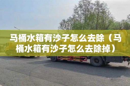 马桶水箱有沙子怎么去除（马桶水箱有沙子怎么去除掉）