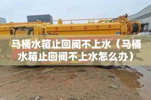 马桶水箱止回阀不上水（马桶水箱止回阀不上水怎么办）