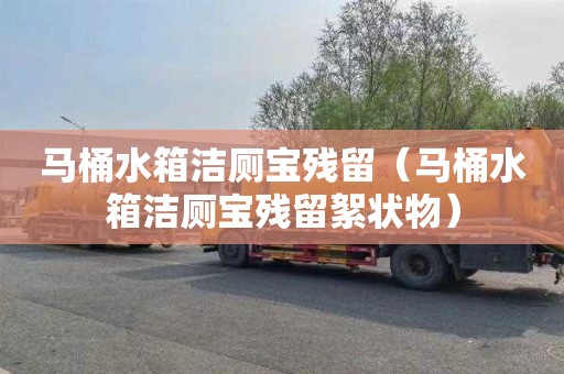 马桶水箱洁厕宝残留（马桶水箱洁厕宝残留絮状物）