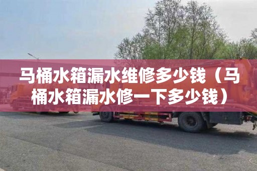 马桶水箱漏水维修多少钱（马桶水箱漏水修一下多少钱）