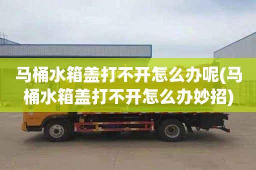 马桶水箱盖打不开怎么办呢(马桶水箱盖打不开怎么办妙招)