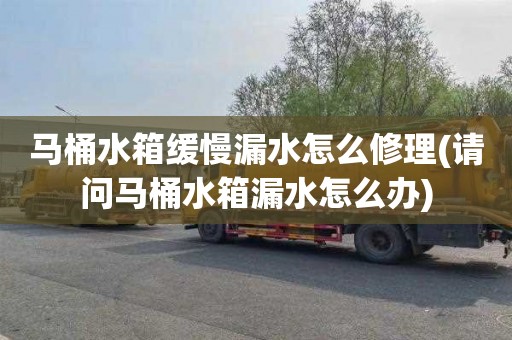 马桶水箱缓慢漏水怎么修理(请问马桶水箱漏水怎么办)