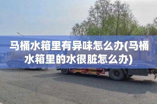 马桶水箱里有异味怎么办(马桶水箱里的水很脏怎么办)