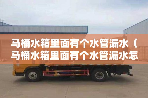 马桶水箱里面有个水管漏水（马桶水箱里面有个水管漏水怎么处理）
