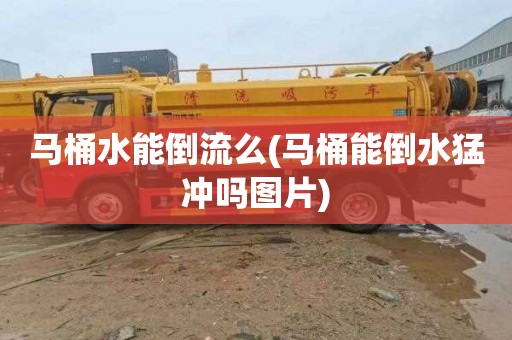 马桶水能倒流么(马桶能倒水猛冲吗图片)