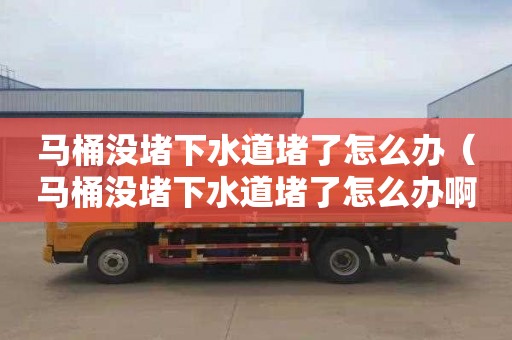 马桶没堵下水道堵了怎么办（马桶没堵下水道堵了怎么办啊）
