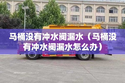 马桶没有冲水阀漏水（马桶没有冲水阀漏水怎么办）