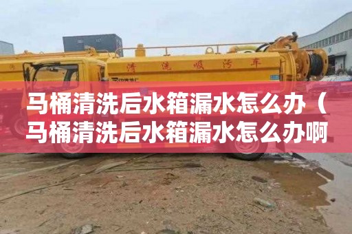马桶清洗后水箱漏水怎么办（马桶清洗后水箱漏水怎么办啊）