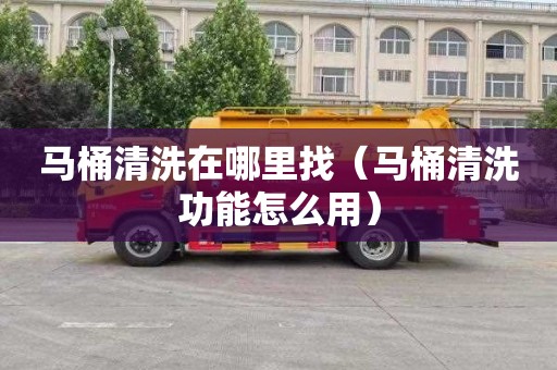 马桶清洗在哪里找（马桶清洗功能怎么用）