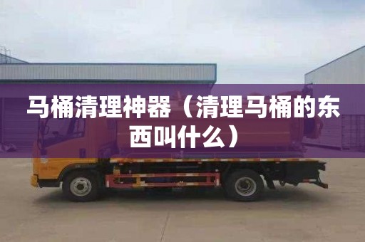 马桶清理神器（清理马桶的东西叫什么）